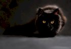 superstitions