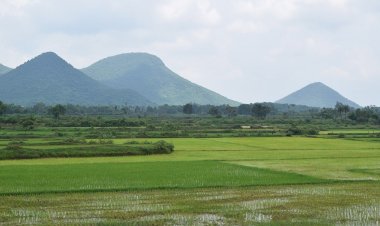 What are the unknown facts Of Odisha and Odisha  peoples.