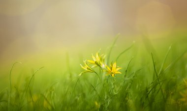 जीवन के बारे में|