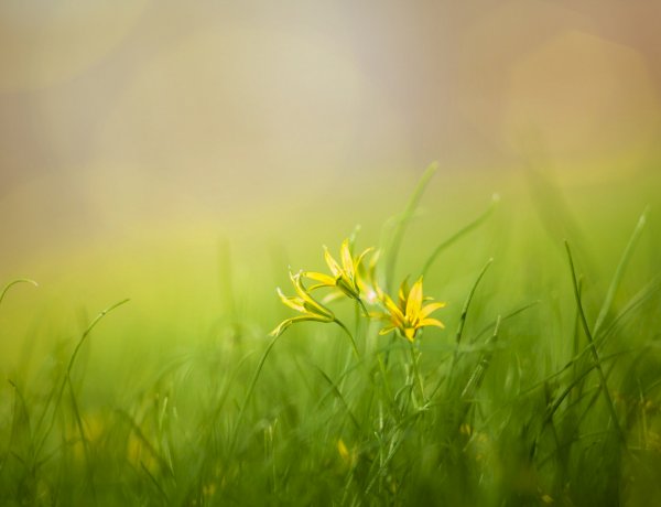 जीवन के बारे में|