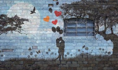 Love Is Not An Attraction It's A Fealing