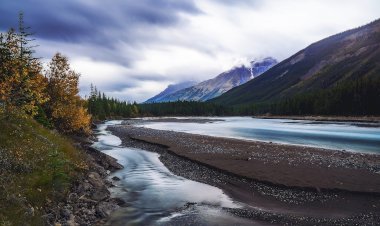 सात चीजें मानव जीवन को नष्ट कर देती हैं