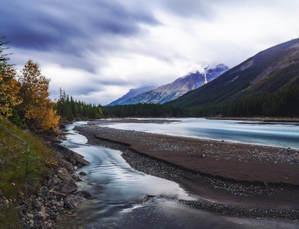 सात चीजें मानव जीवन को नष्ट कर देती हैं