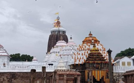 Shree Jagannath Temple, Puri: A Comprehensive Overview