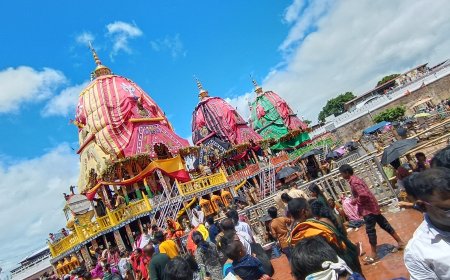 Rath Yatra : The Grand Chariot Festival Of Puri, Odisha