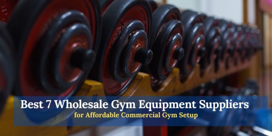 Best 7 Wholesale Gym Equipment Suppliers for Affordable Commercial Gym Setup